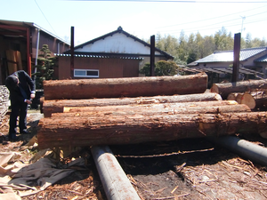 歌舞伎座の檜舞台 - バイオ乾燥機株式会社